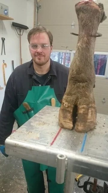 Vic's Hoof Trimming Course