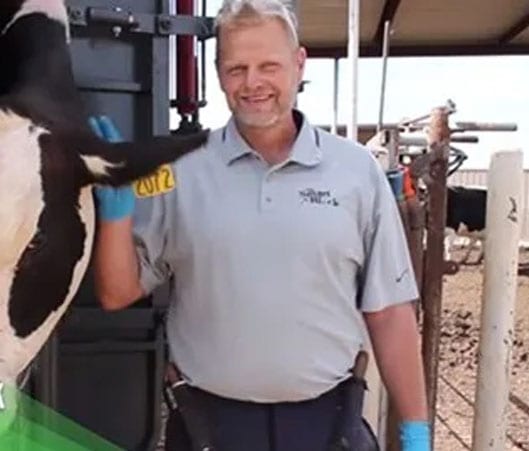 A man holding on to the neck of a cow.